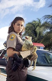 Policja dla zwierząt w Miami (14)