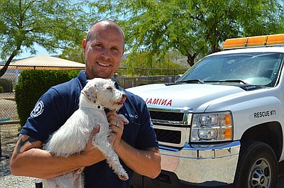 Policja dla zwierząt w Phoenix (11)