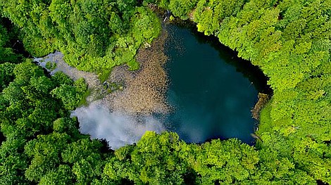 Polska z góry: Przemkowski Park Krajobrazowy (6)