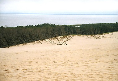 Polskie Parki Narodowe: Poleski Park Narodowy