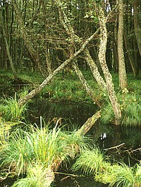 Polskie Parki Narodowe: Słowiński Park Narodowy