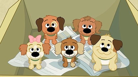 Pound Puppies: Psia Paczka (5)