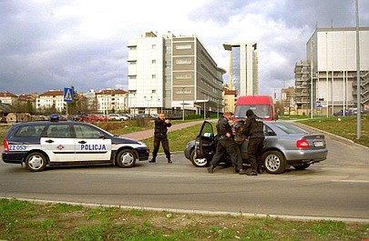 Prawdziwe psy (7/12)