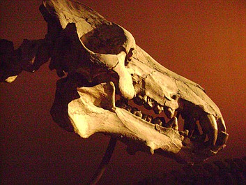 Prehistoryczne bestie: Tyranozaur z głębin (2)