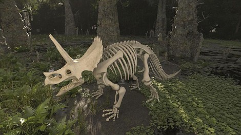 Prehistoryczne potwory: Megalodon (5)