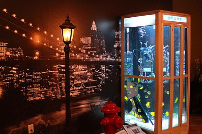 Projekt akwarium: Wyluzuj się