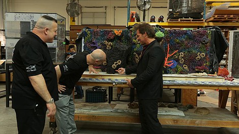 Projekt akwarium: Słodkie akwarium