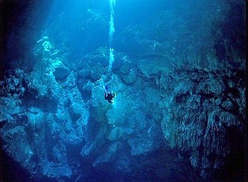 Podwodna planeta: W głębi lądu (4)