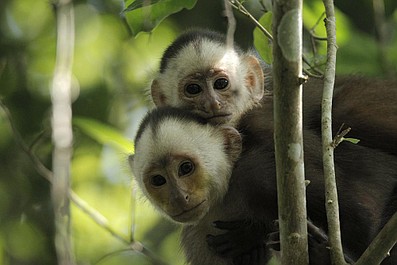 Rok z dziką przyrodą (6)