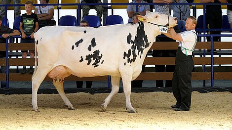 Rolnicy. Podlasie (3)