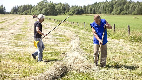 Rolnicy. Podlasie (40)