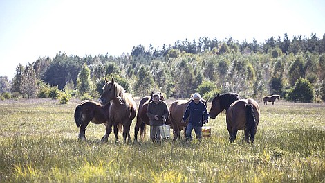 Rolnicy. Podlasie (27)