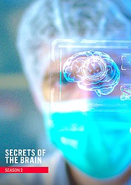 Sekrety ludzkiego mózgu: Geniusz (2)