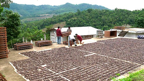 Sekrety świata przypraw (3)