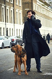 Sherlock 4 (1)