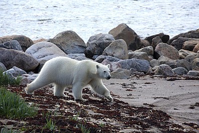 Siedem światów, jedna planeta: Australia (4)