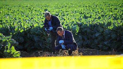 Śledztwo na własną rękę: Nie bądź moim sąsiadem