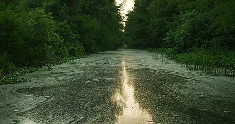 Śmierć przychodzi po zmroku: Noc upiorów (2)