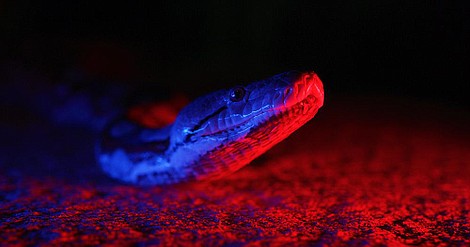 Śmierć przychodzi po zmroku: Noc upiorów (2)