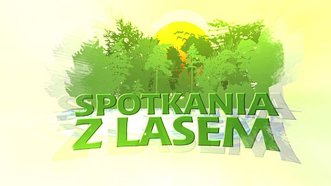 Spotkania z lasem: Turystyka w Nadleśnictwie Jamy i Brodnica (8)