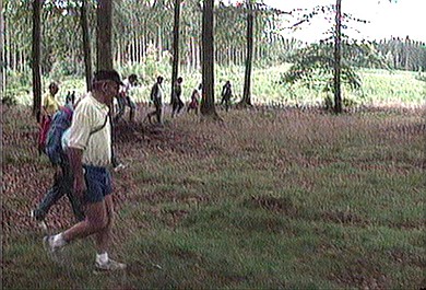 Sprawa Dutroux (2)