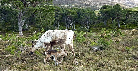 Stormborn - Zrodzone w burzy: Powrót światła (2)