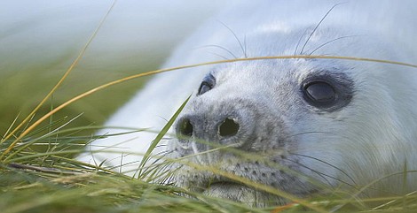 Stormborn - Zrodzone w burzy: Z ciemności (1)