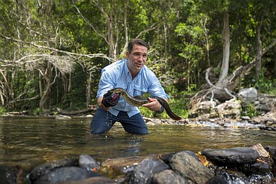 Stworzone, by przetrwać: Leśni wędrowcy (10)