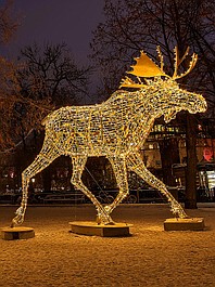 Świąteczne miasta USA (1)