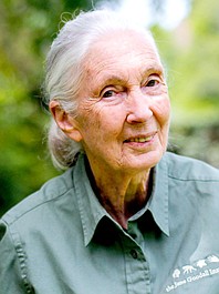 Szympansy z Kongo: Jane Goodall zaprasza 2: Gotowi do drogi (6)