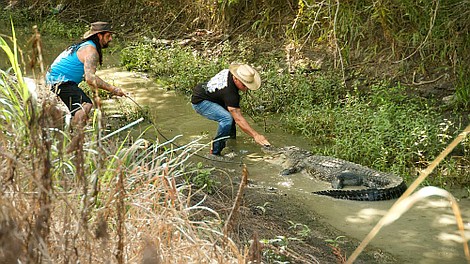 Teksas: na ratunek aligatorom: Obrót śmierci (1)
