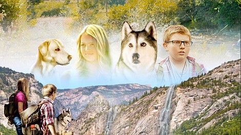 Timber, pies odkrywca