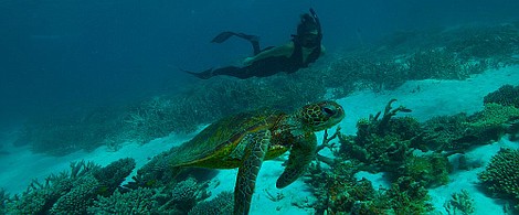 U wybrzeży Australii: Dziki zachód (3)