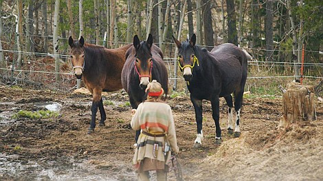Uciec od cywilizacji: Strefa śmierci (4)