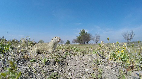 Ukryte piękno Europy: Półwysep Iberyjski (2)