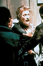 Unabomber