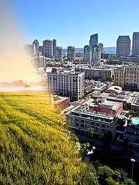 W mieście czy na wsi (2)