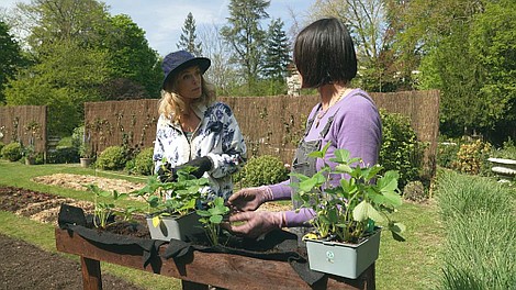 W ogródku warzywnym Julie (4)
