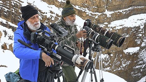 W poszukiwaniu irbisów: Pogoń za cieniem (2)