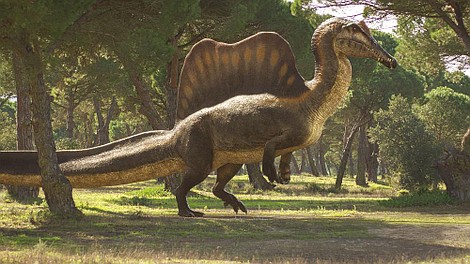 Wędrówki z dinozaurami (2)