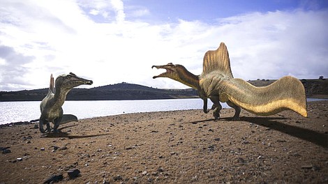 Wędrówki z dinozaurami (5)