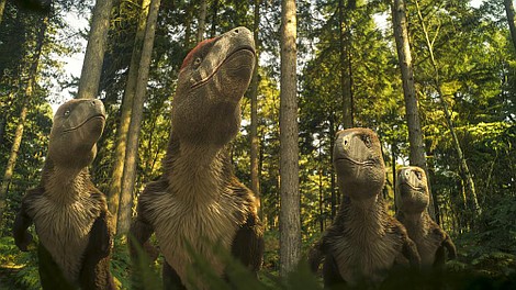 Wędrówki z dinozaurami (6)