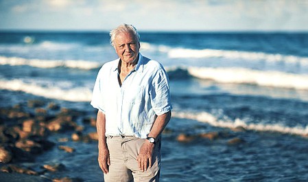 Weekend z Davidem Attenborough w TVP Nauka: Podróż przez życie: Władza (4)