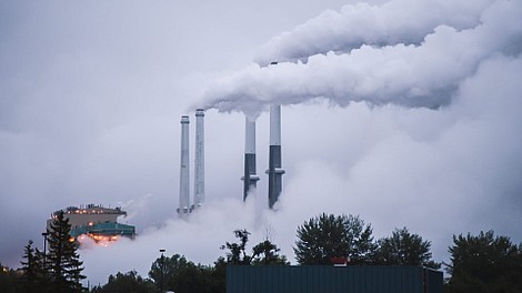 Węgiel, klimat i gospodarka