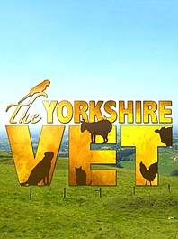 Weterynarz z Yorkshire 10 (9)