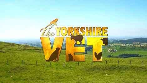 Weterynarz z Yorkshire 10 (2)