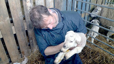 Weterynarz z Yorkshire 11 (5)