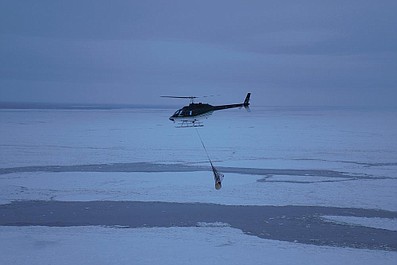 Weterynarze w Arktyce (10)