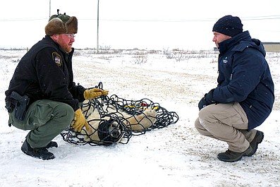 Weterynarze w Arktyce: Zamieć (7)