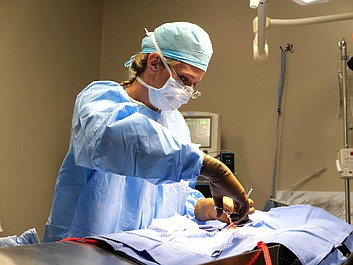 Weterynarze z Nebraski: Jelonek w potrzebie (7)